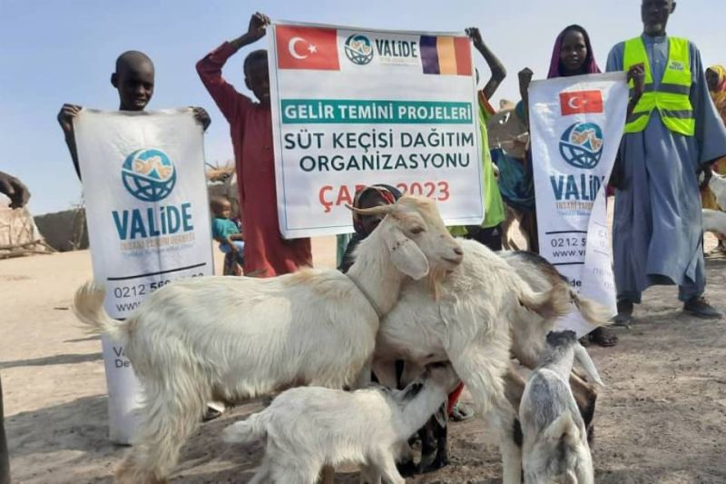 50 Aileye Süt Keçisi